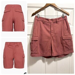 Aritzia TNA Lenox Cargo Shorts in Red Argil Workwear Inspired Size 6